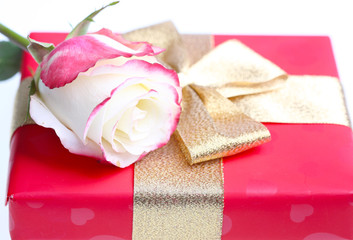 Red gift box with a golden bow