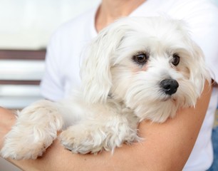 Ich häng hier nur n bissel rum :-)