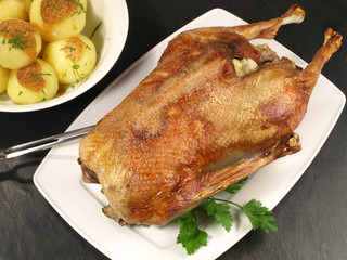 Gans mit Kartoffelknödel