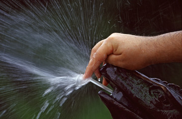 Wasserspeier