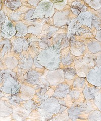 Frosted leaves background