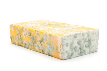 Cheese with mould