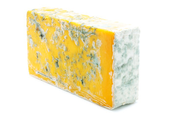 Cheese with muld