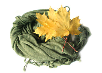 Yellow maple leaves on the green scarf