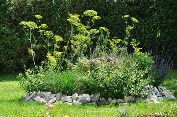 Kr&auml;uterschnecke