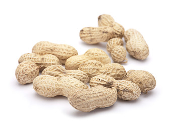 Peanut in shell