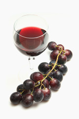 vino rosso