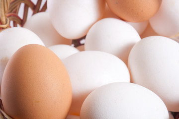 eggs