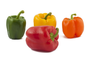 Green, yellow, orange and red peppers