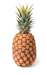 A ripe pineapple on a white background