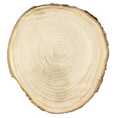 wood cross section with clipping path - obrazy, fototapety, plakaty