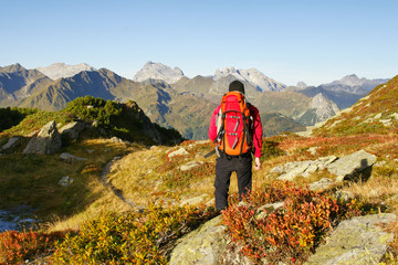 Fototapeta premium Herbst in den Alpen