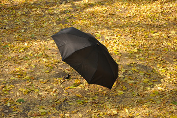 umbrella in a park