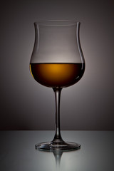 Still-life with the wine glass on gray