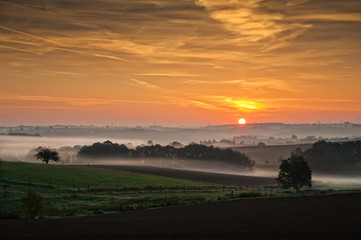 Fototapeta premium Bodennebel
