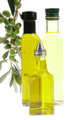 olives on a branch with oil
