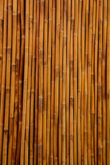 Close up of bamboo wall