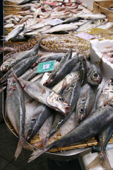 Obraz premium pescheria
