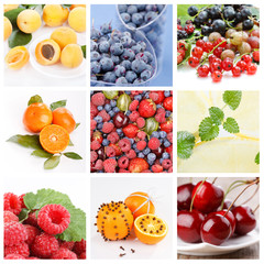 collage of fruits and berries