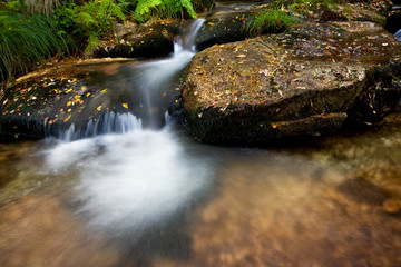 Naklejka na ściany i meble Small river waterfall at autumn in the portuguese national park