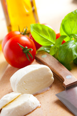 fresh mozzarella with tomato and basil