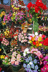 Flowers to the grave