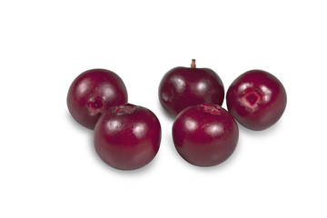 Berry cranberries