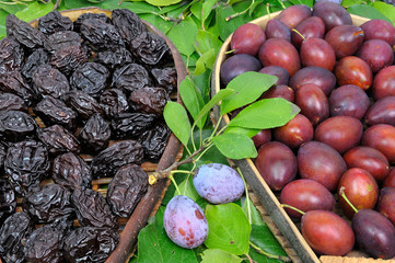 assortiment de prunes et pruneaux