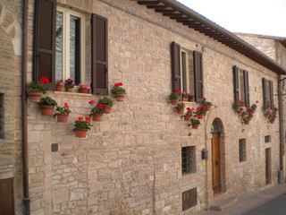 finestra adorna di fiori