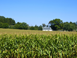 Amish Farm, Lancaster USA
