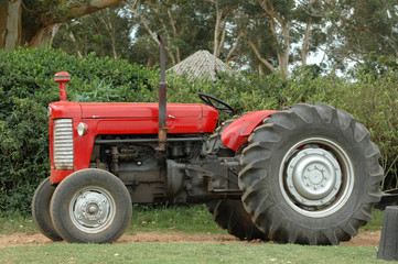 Red tractor
