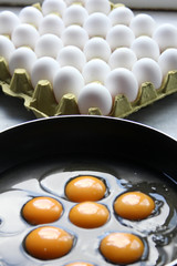 egg