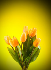 Bouquet of colorful tulips on the table