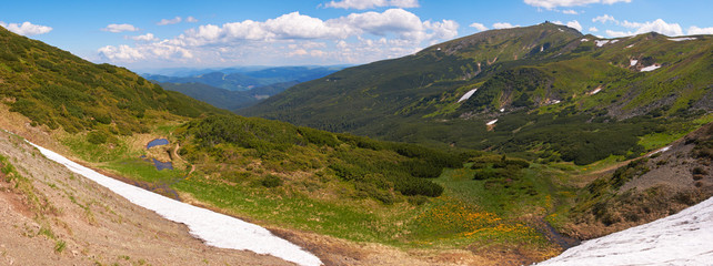 Summer mountain view