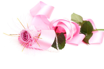 single pink rose flower