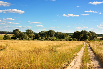 Summer landscape with road