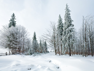 winter country mountain landscape