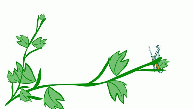 farfalla arancio su pianta