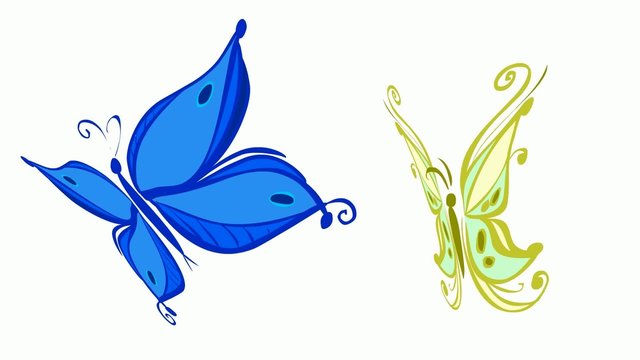 Couple of butterfly flap their wings to two different rhythms