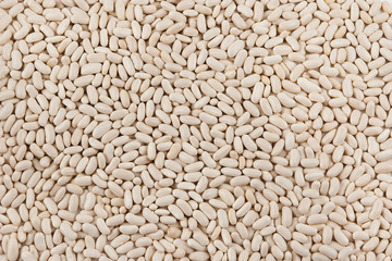 Bean pattern