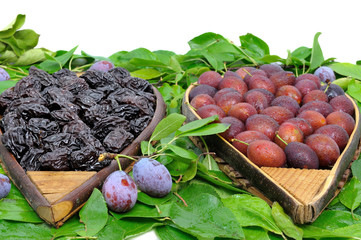 assortiment de prunes sur fond blanc