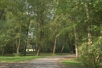 Fototapeta premium Stroll Through the Park