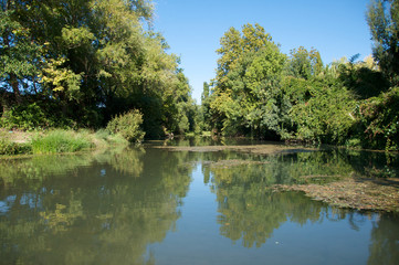 Fototapeta na wymiar rivière