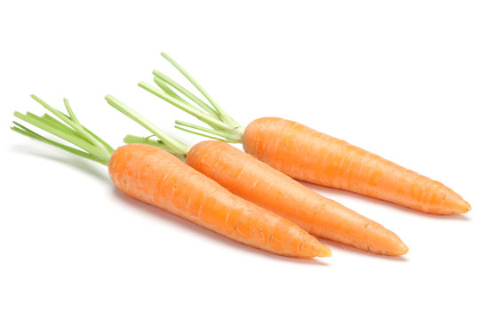 Carrot vegetable on white