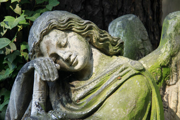 Obraz premium Angel on the old Prague Cemetery