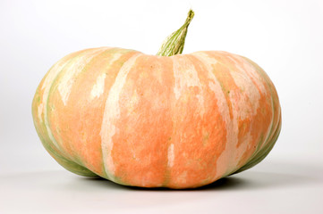 zucca di beppe