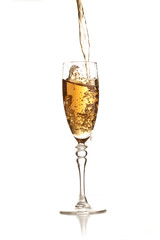 champagne
