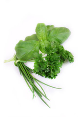 green herbs on white background
