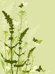 floral background with grass