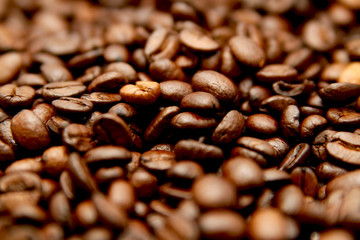 Kaffeebohnen Nahaufnahme